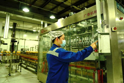 上海 糧油食品企業(yè)生產加工忙